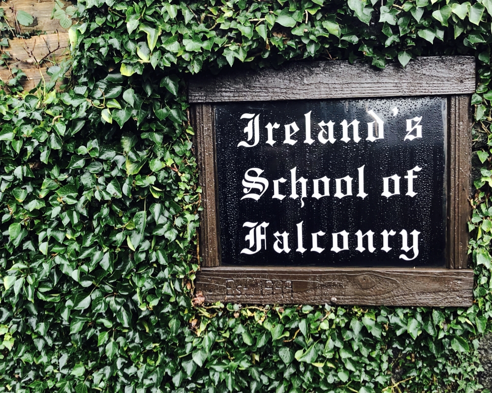 The sign for Ireland's School of Falconry at Ashford Castle.